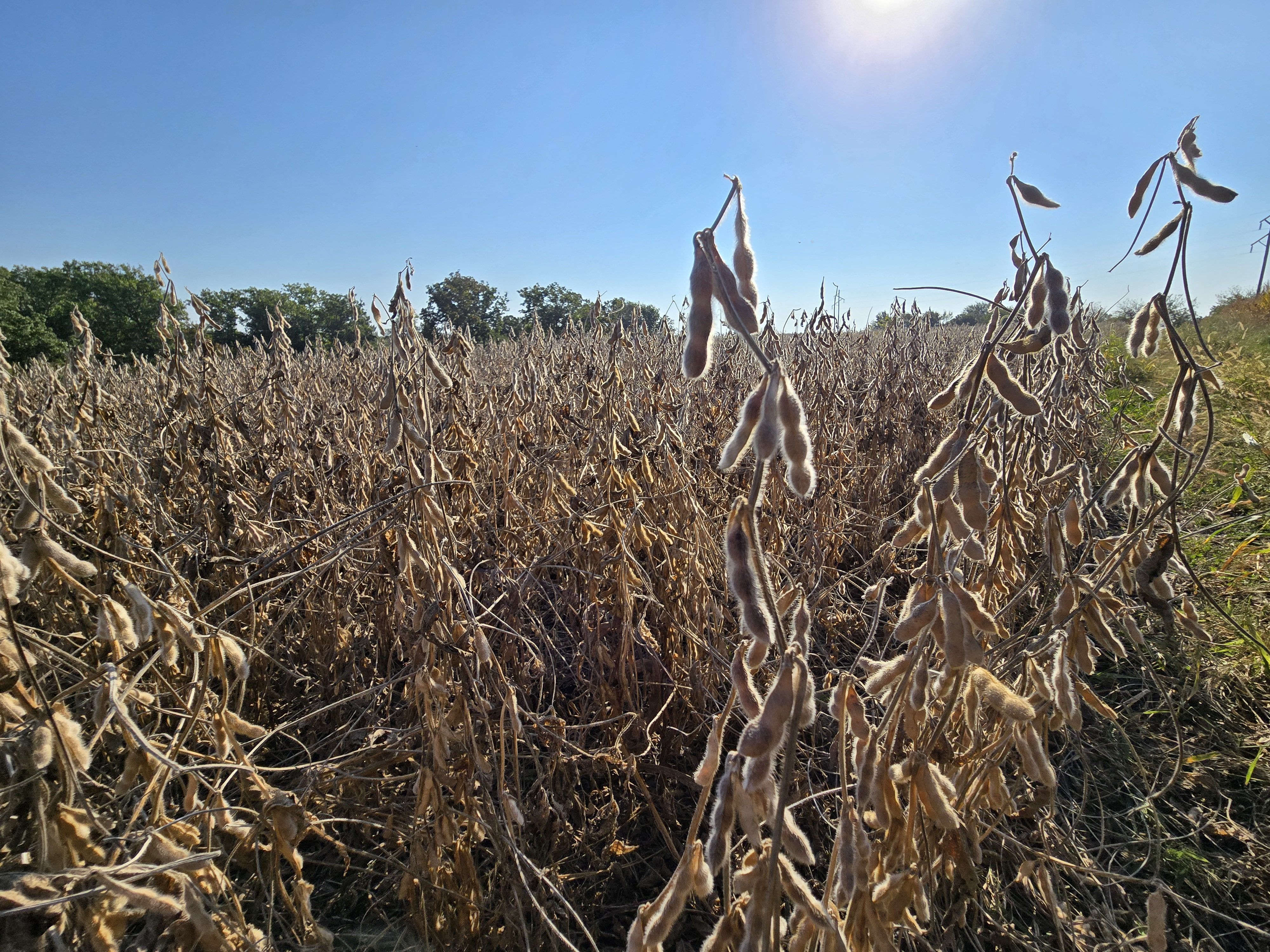 Listing Photo: 18661-20251003_095112 (2)